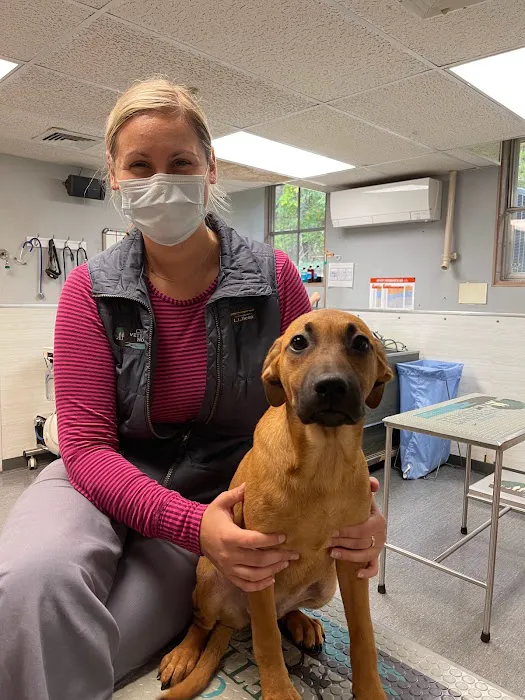 Clinton Veterinary Hospital 5