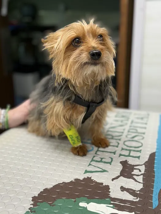 Clinton Veterinary Hospital 2