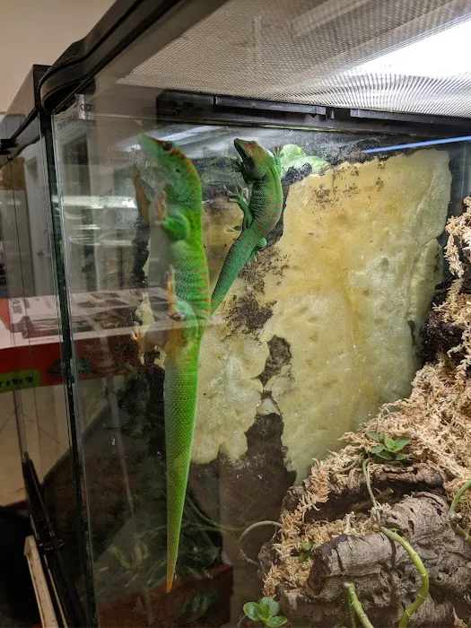 Pet Zone LLC 7