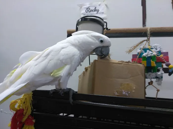 Pet Zone LLC 6