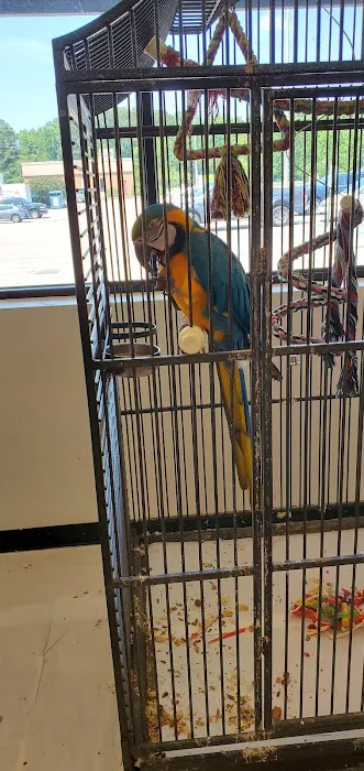 Pet Zone LLC 9
