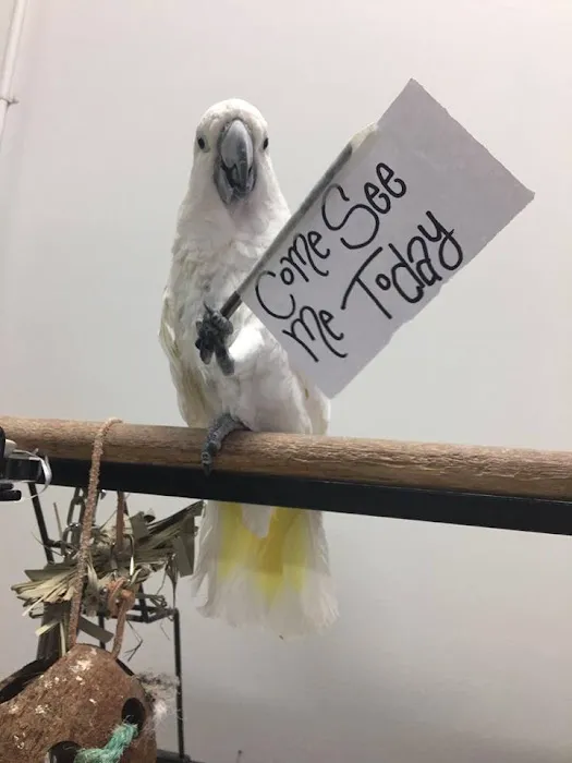 Pet Zone LLC 8