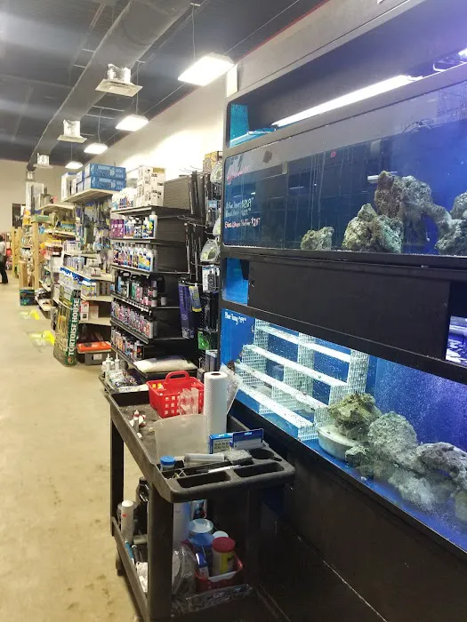 Pet Zone LLC 3