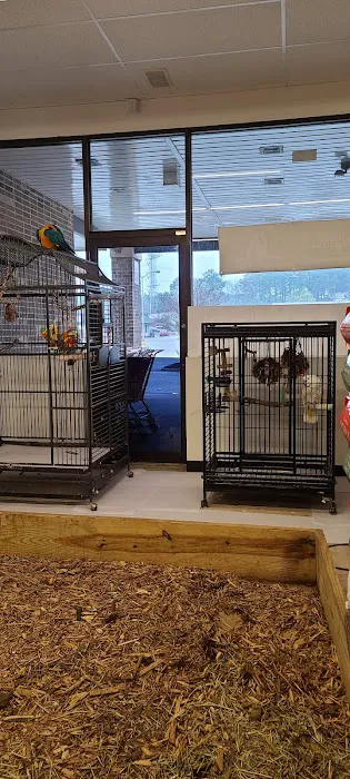 Pet Zone LLC 5