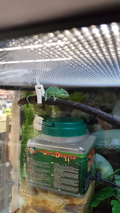 Petco 7
