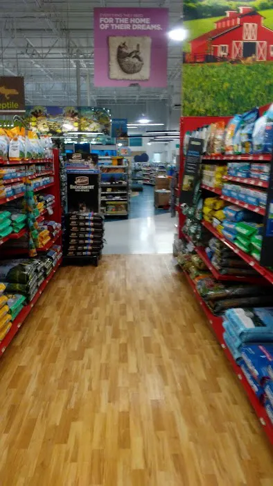 Petco 2