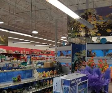 Petco