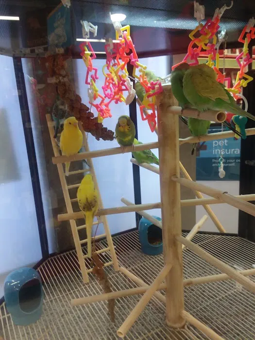 Petco 10