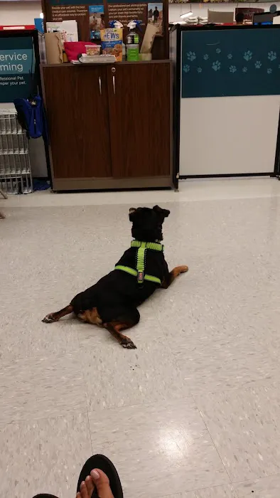 Petco 3