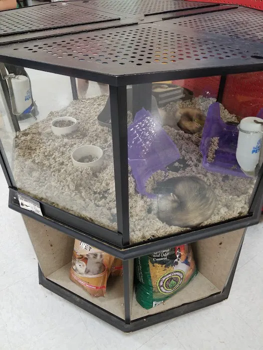 Petco 8