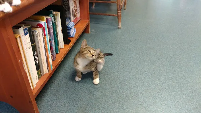 Niantic Animal Hospital 8