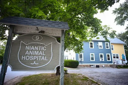 Niantic Animal Hospital 3
