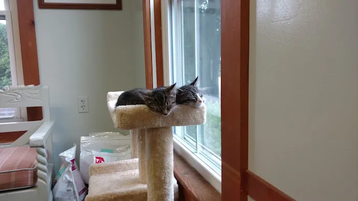 Niantic Animal Hospital 4