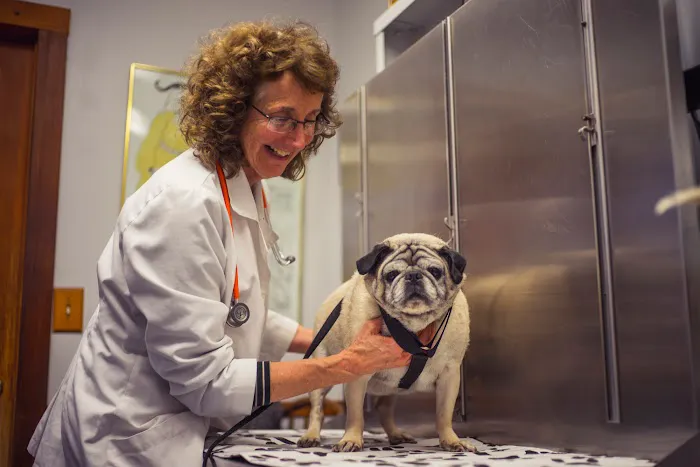 Niantic Animal Hospital 9