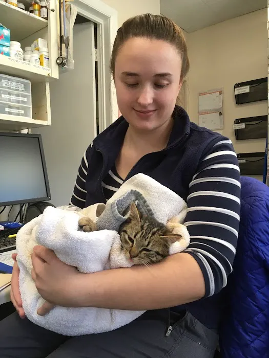 Niantic Animal Hospital 1