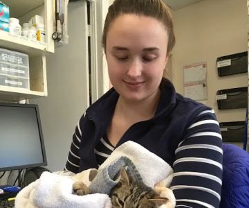 Niantic Animal Hospital