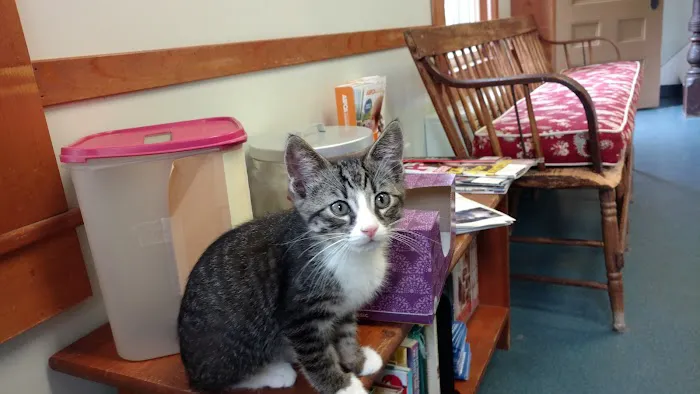 Niantic Animal Hospital 5