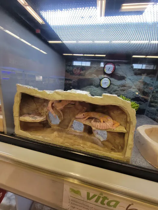 Petco 3