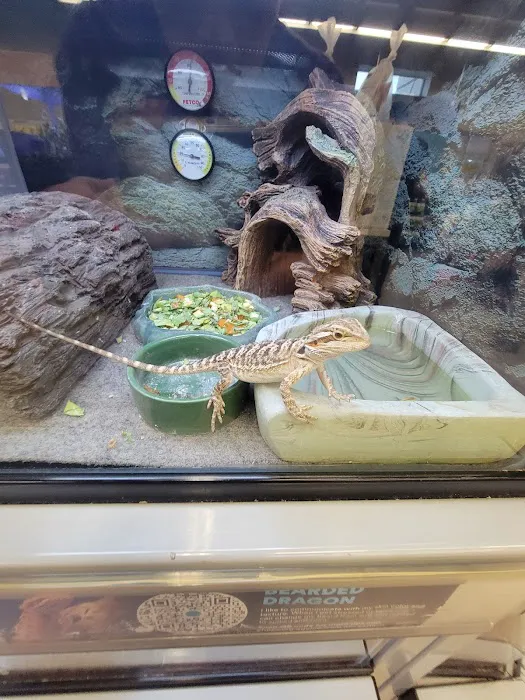 Petco 7