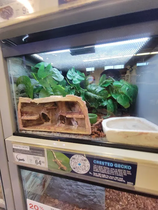 Petco 6