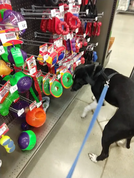 Petco 1