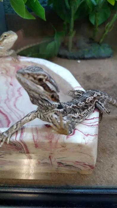 Petco 6