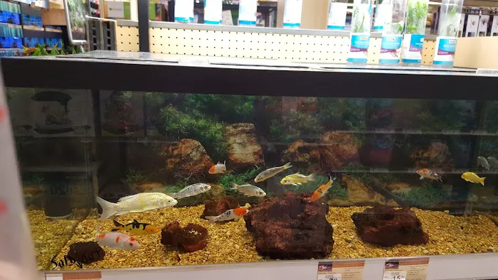 Petco 8