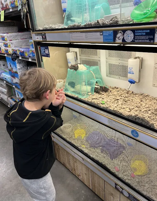 Petco 7