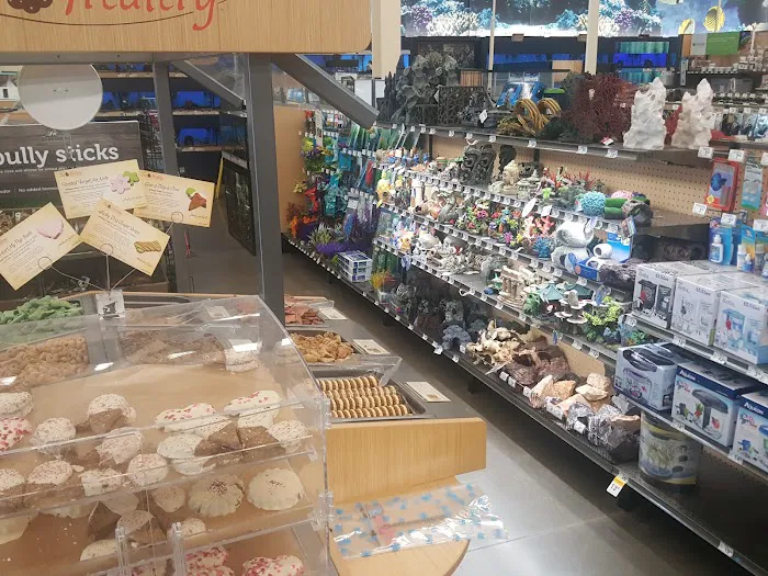 Petco 1