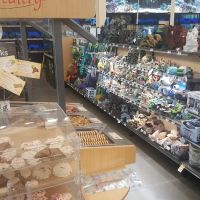 Petco ico