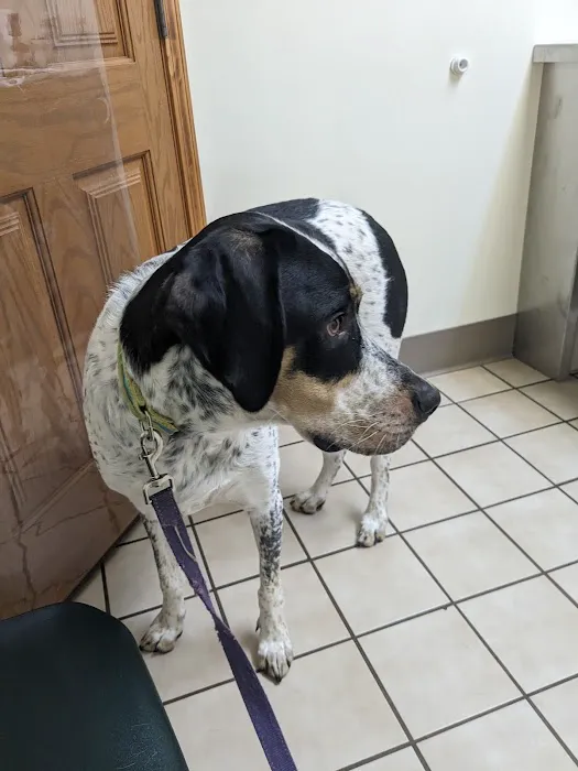 Herkimer Veterinary Associates 1