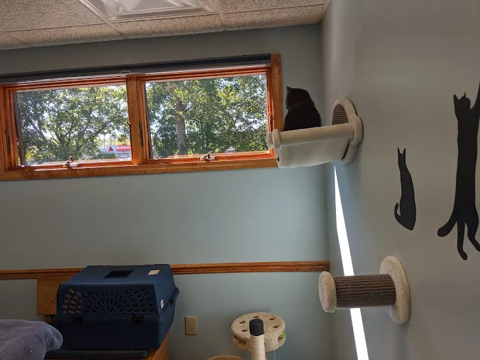 VCA New Hartford Animal Hospital 10