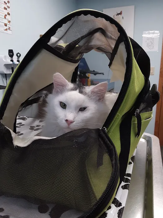 VCA New Hartford Animal Hospital 3