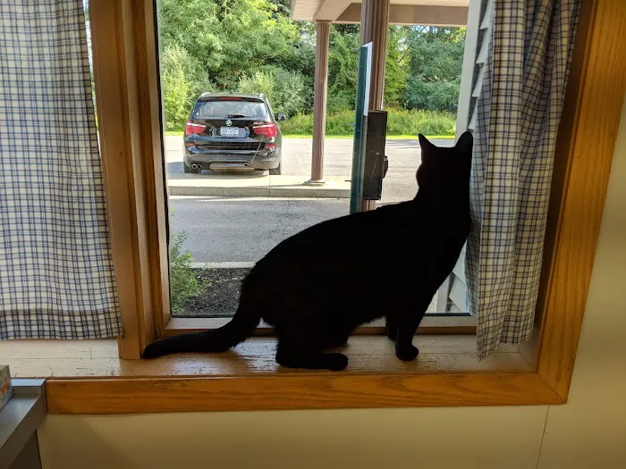 VCA Burrstone Animal Hospital 10