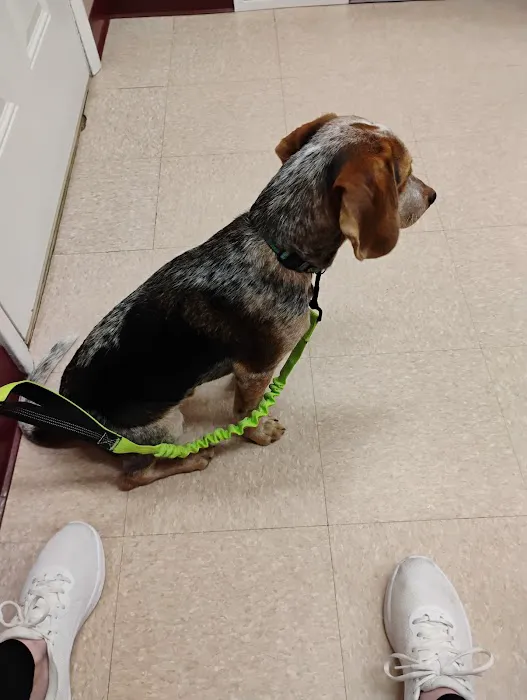 Little Falls Veterinary Clinic 5