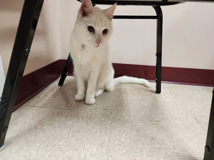 Little Falls Veterinary Clinic 3