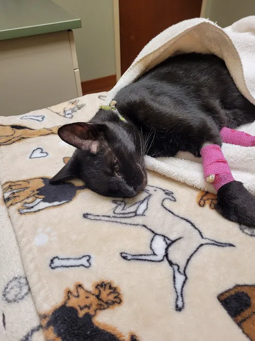 Marcy Veterinary Clinic 8