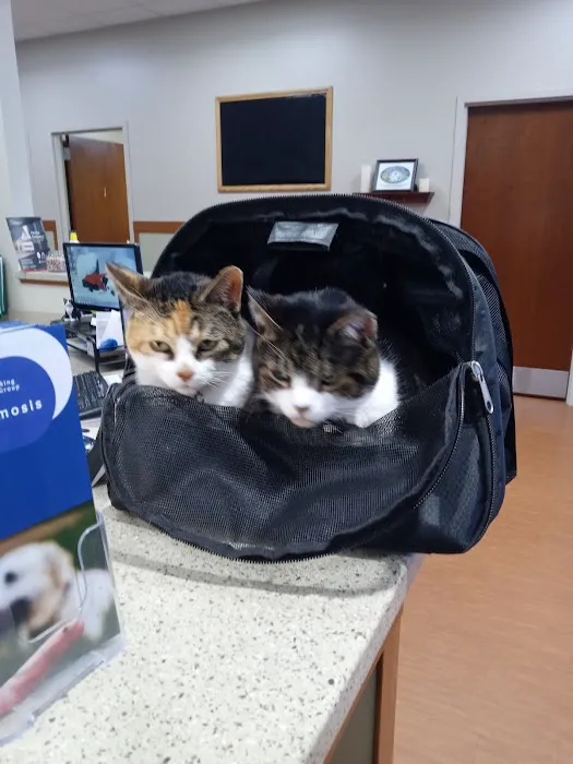 Marcy Veterinary Clinic 3