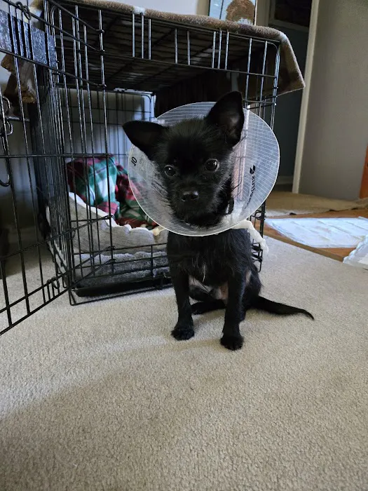 Marcy Veterinary Clinic 6