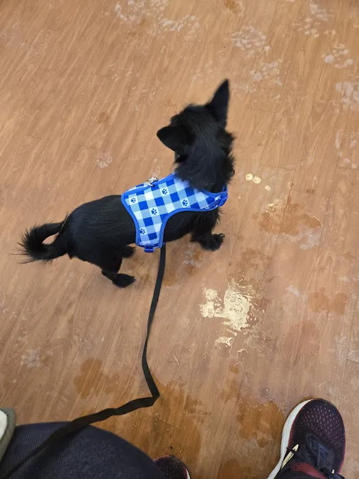 Marcy Veterinary Clinic 2
