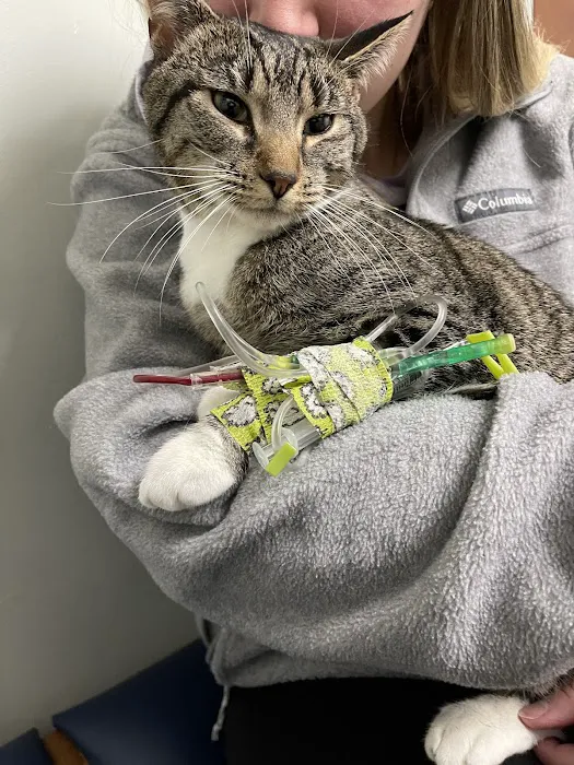 CNY Veterinary Medical Services 5
