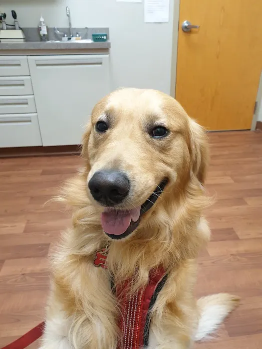 Manlius Veterinary Hospital 3