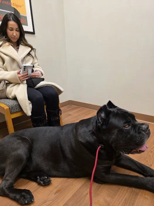 Manlius Veterinary Hospital 6