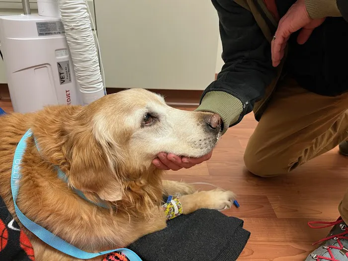 Manlius Veterinary Hospital 1