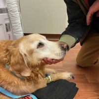 Manlius Veterinary Hospital ico