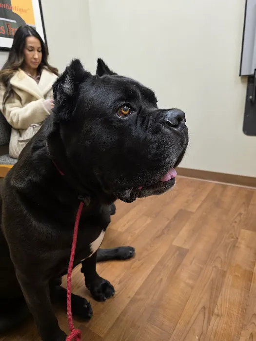 Manlius Veterinary Hospital 8