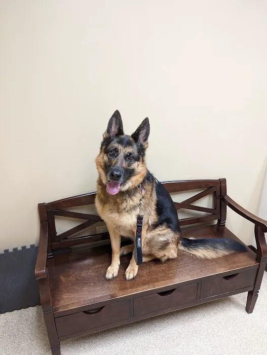 Compassionate Care Veterinary Hospital of Manlius, P.C. 3