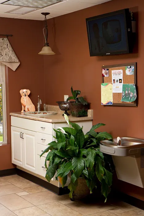 Compassionate Care Veterinary Hospital of Manlius - Dr. J Endres 8