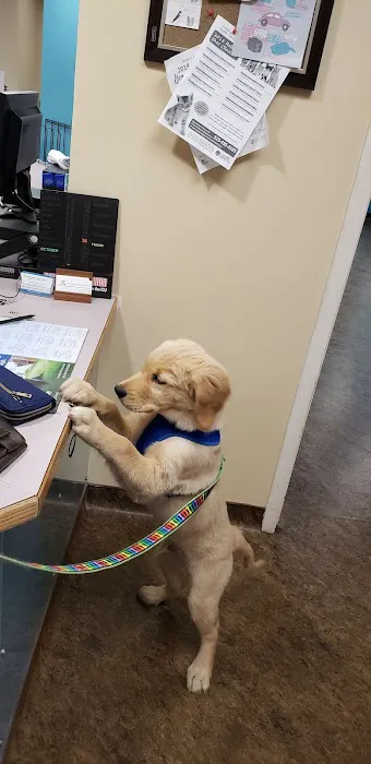 Chittenango Animal Hospital 5