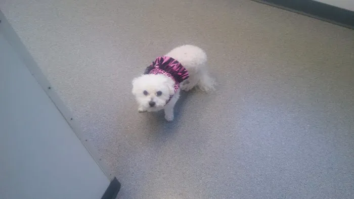 Rockacres Veterinary Hospital 8